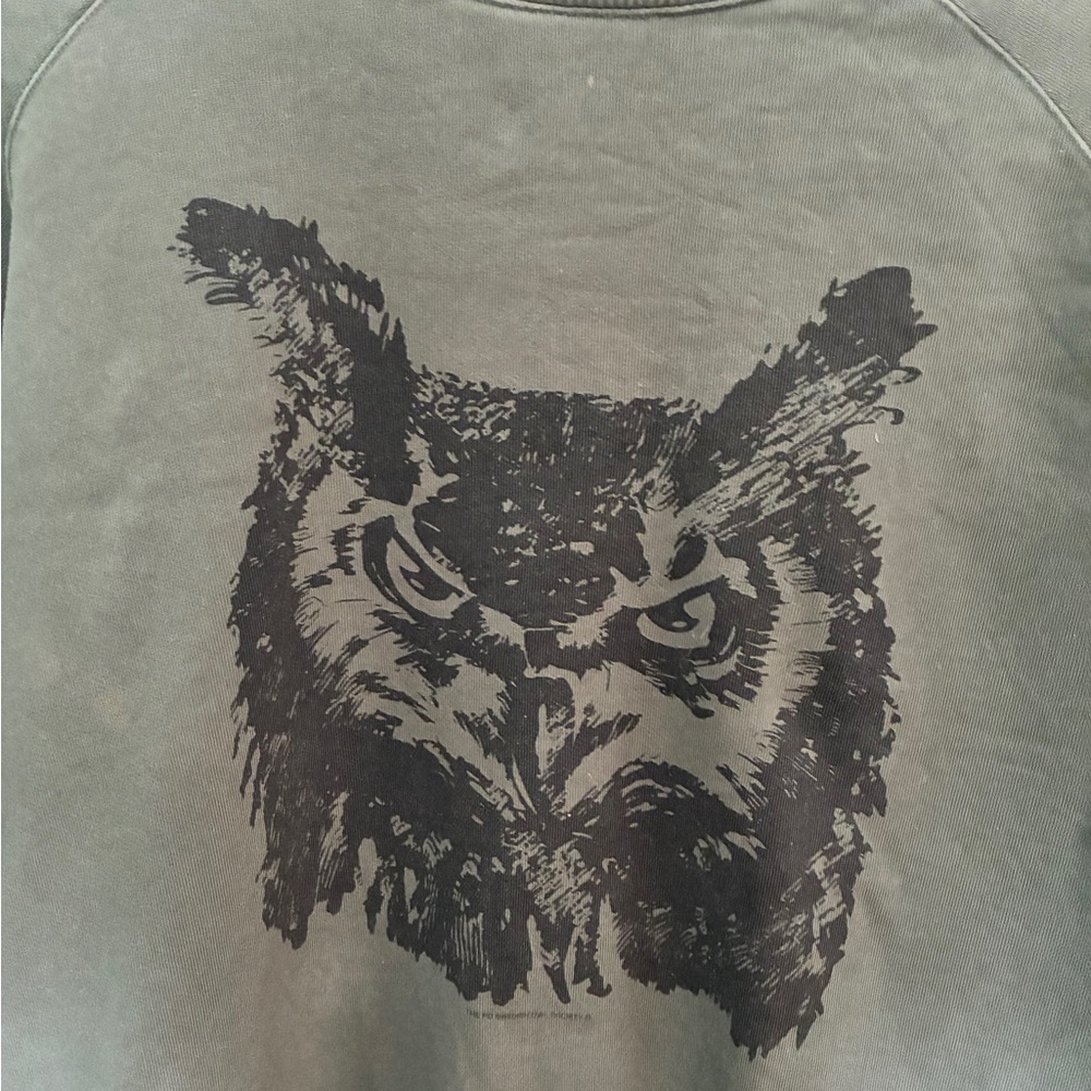 Green Sweatshirt with Owl Graphic - Picture 2 of 4